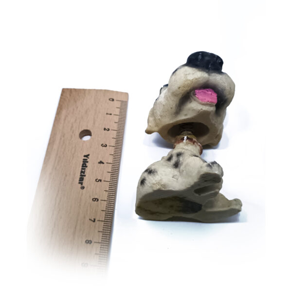 Big Nose Dalmatian Figurine – Home & Office Decor - Image 7